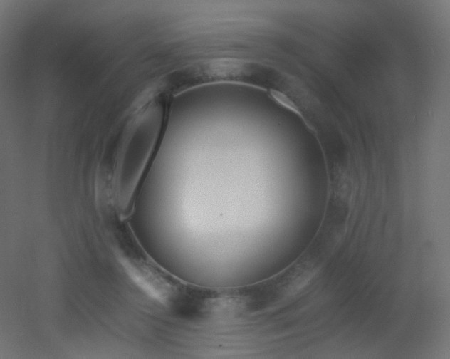 X0000053070356200507111224