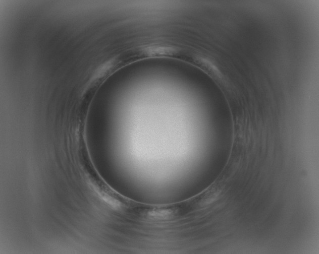 X0000053070357200507111224