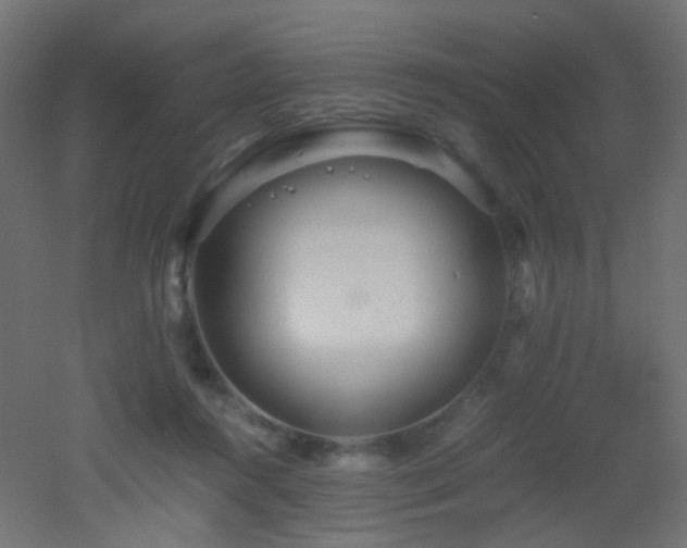X0000053070360200507111224