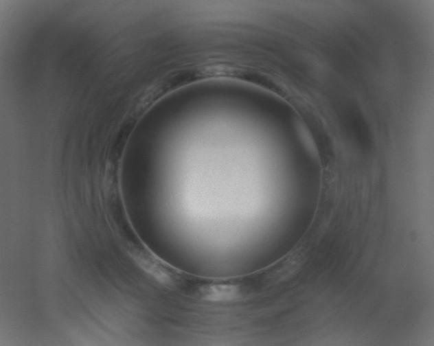 X0000053070361200507111224