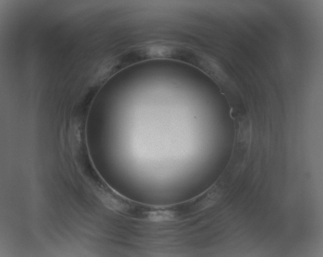 X0000053070363200507111224