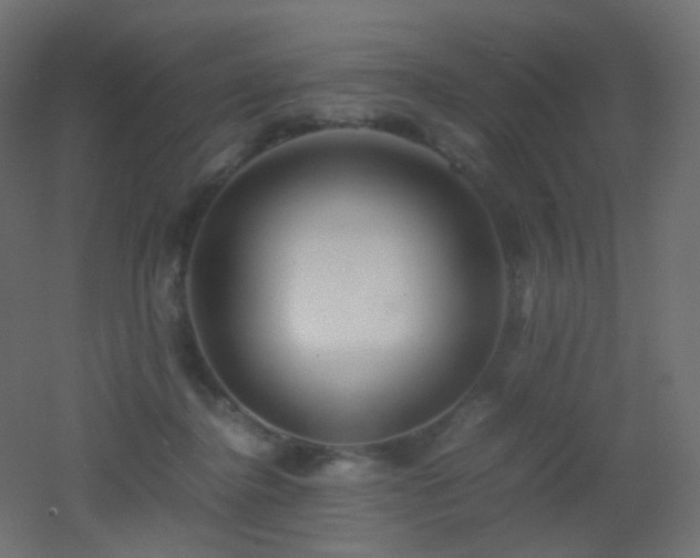 X0000053070364200507111224