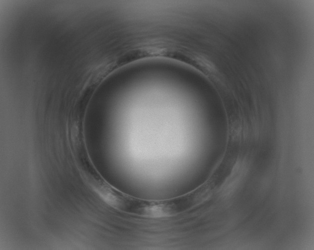 X0000053070365200507111224