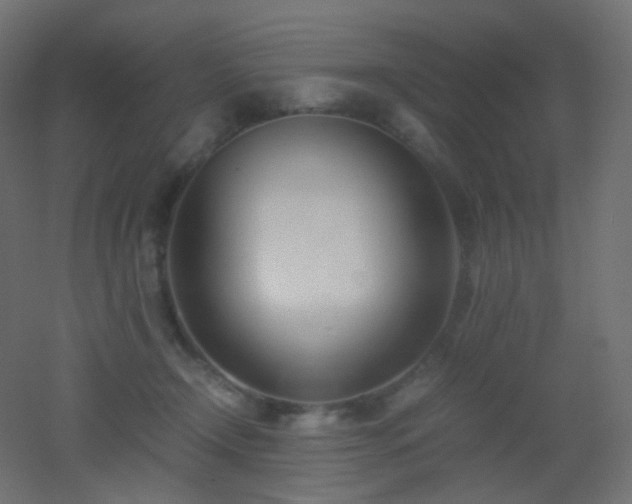 X0000053070366200507111224
