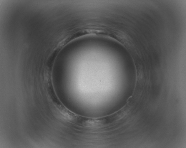 X0000053070367200507111224