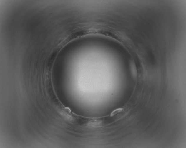 X0000053070369200507111224