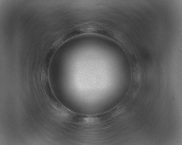 X0000053070371200507111224