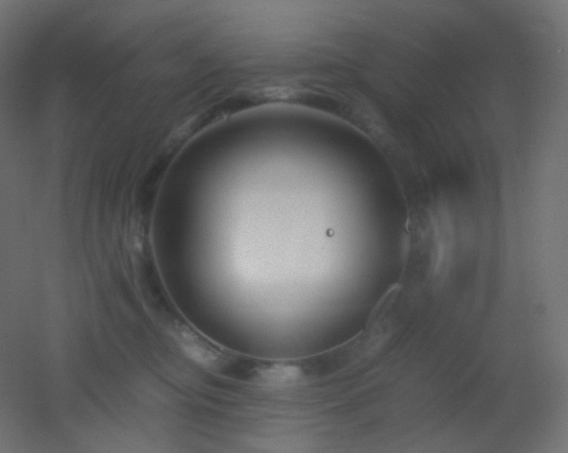 X0000053070374200507111224