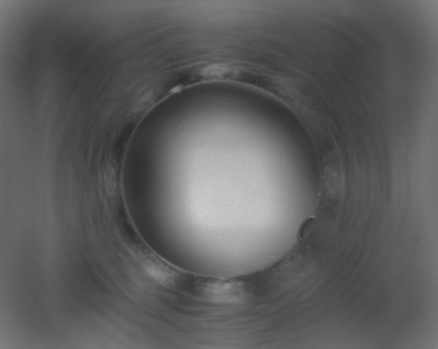 X0000053070375200507111224