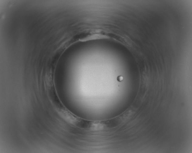 X0000053070376200507111224