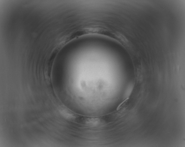 X0000053070377200507111224