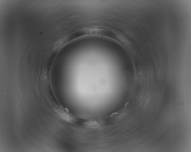 X0000053070381200507111225