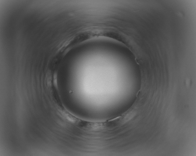 X0000053070384200507111225