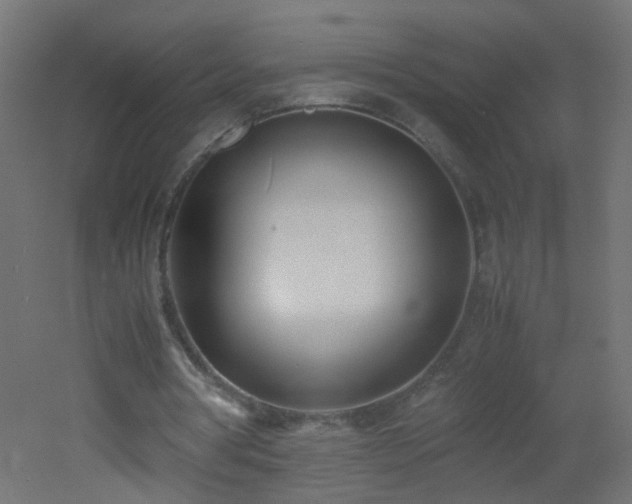 X0000053070386200507111224