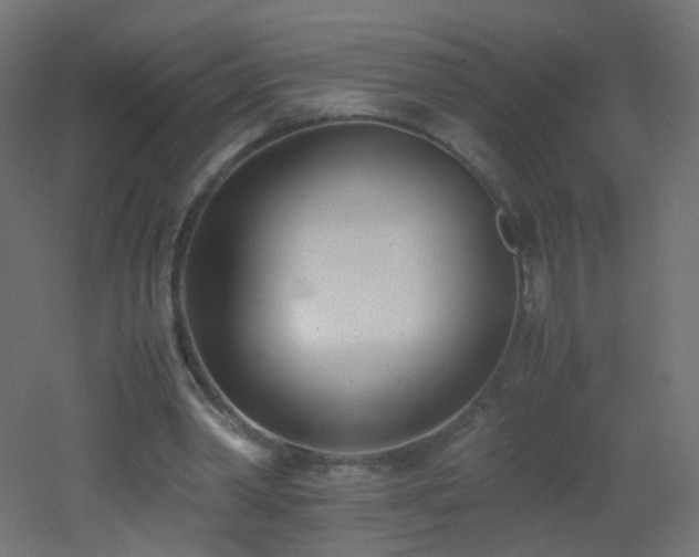 X0000053070390200507111224