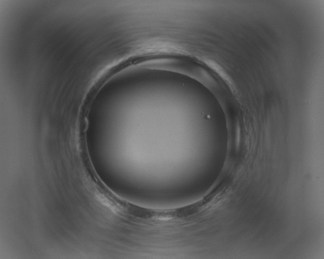 X0000053070391200507111224
