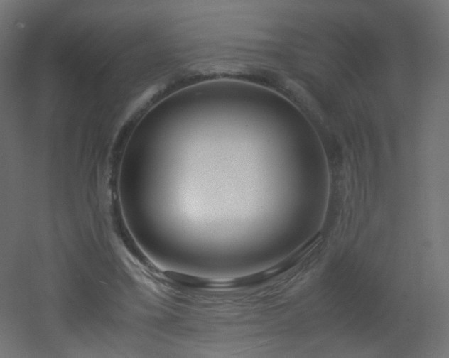 X0000053070395200507111224