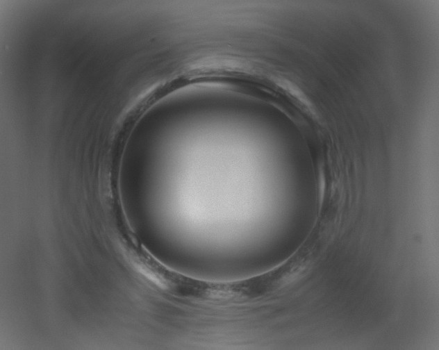 X0000053070399200507111224