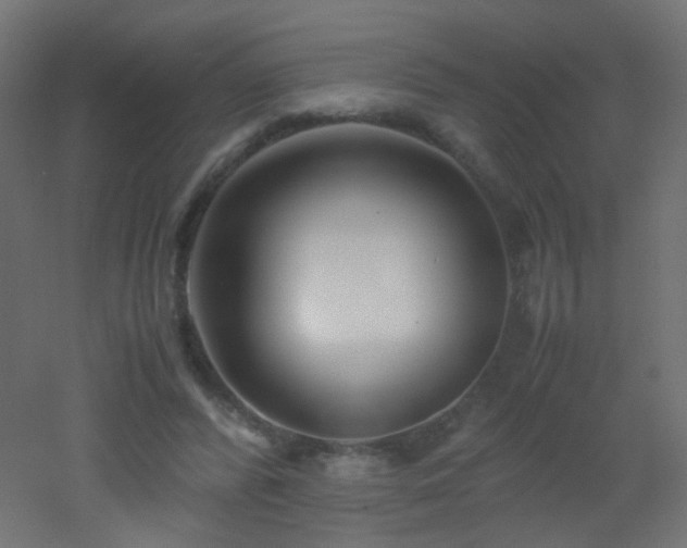 X0000053070400200507111224