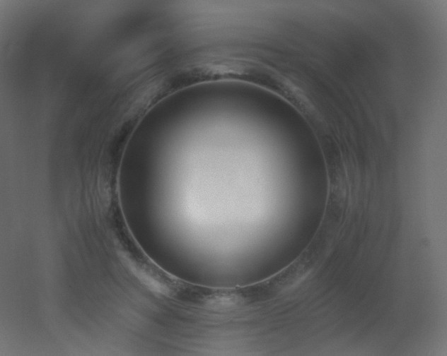 X0000053070402200507111223
