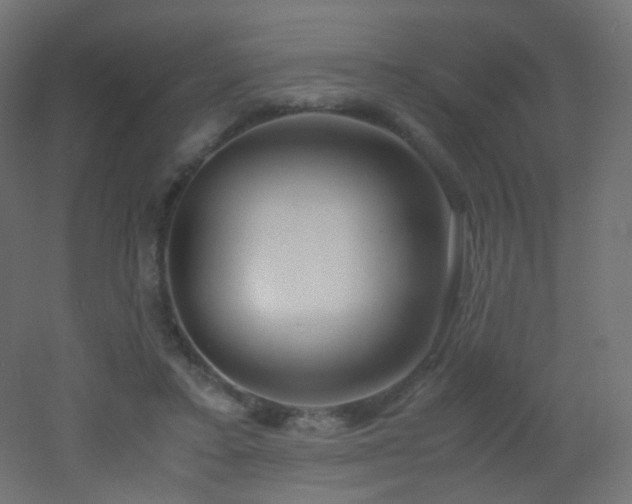 X0000053070403200507111223