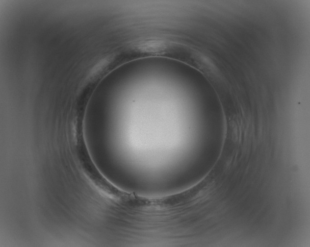 X0000053070404200507111223