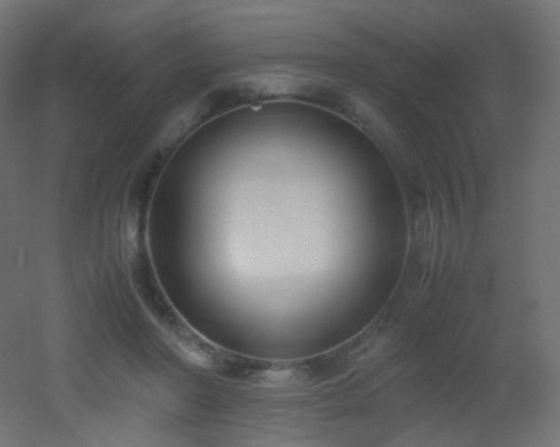 X0000053070406200507111223
