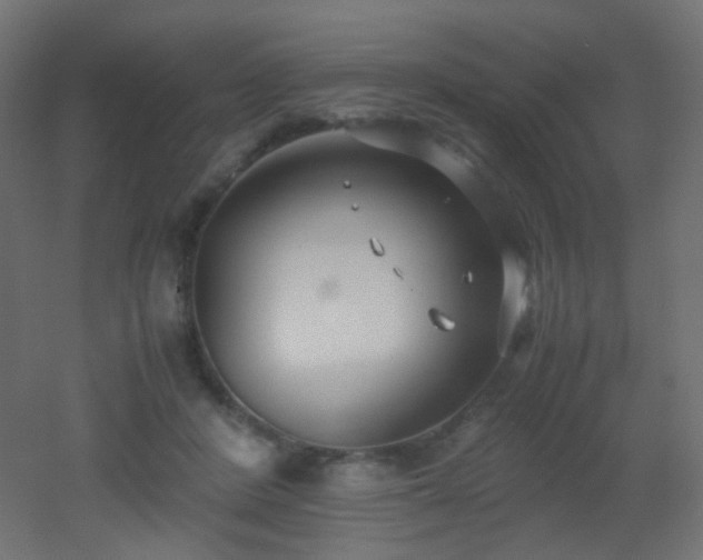 X0000053070408200507111223