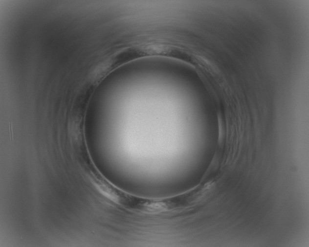 X0000053070409200507111223