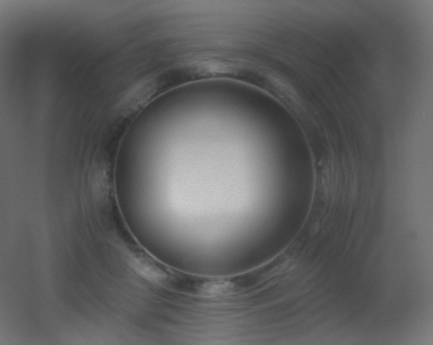 X0000053070410200507111223