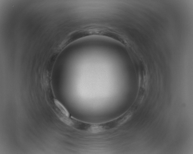 X0000053070413200507111223