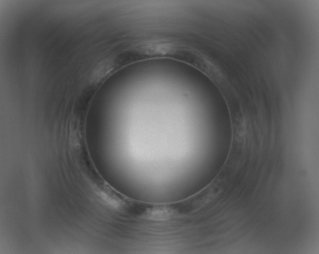 X0000053070414200507111223