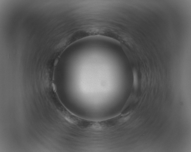 X0000053070416200507111223