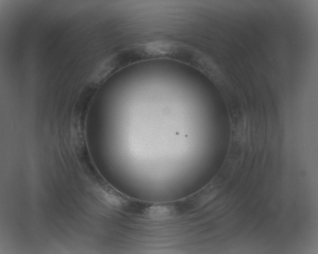 X0000053070418200507111223