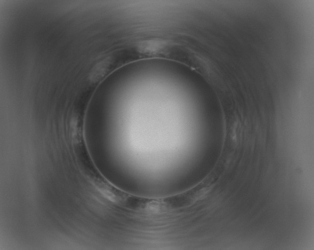 X0000053070420200507111223