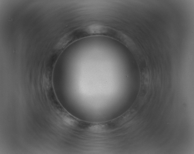 X0000053070422200507111223