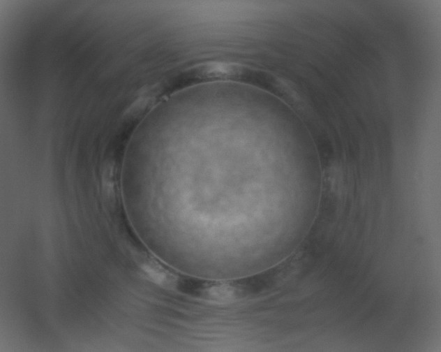 X0000053070423200507111223