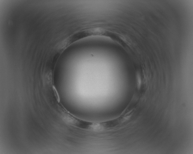 X0000053070425200507111223
