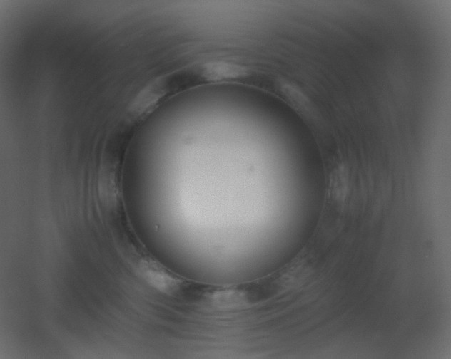 X0000053070426200507111223