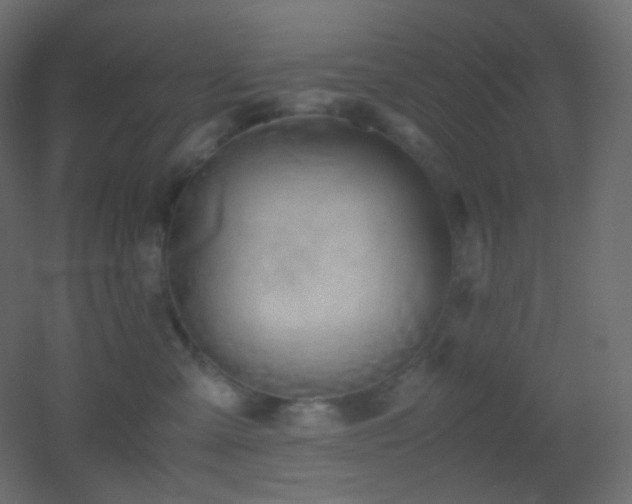 X0000053070427200507111223