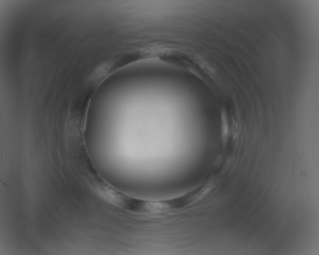 X0000053070429200507111223