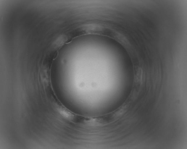 X0000053070430200507111223