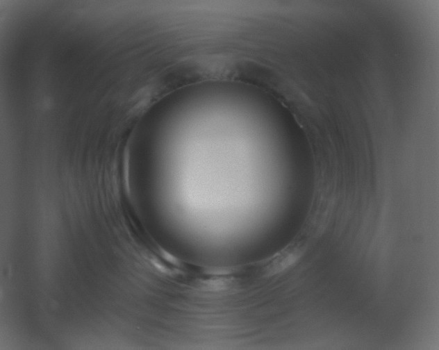 X0000053070432200507111223