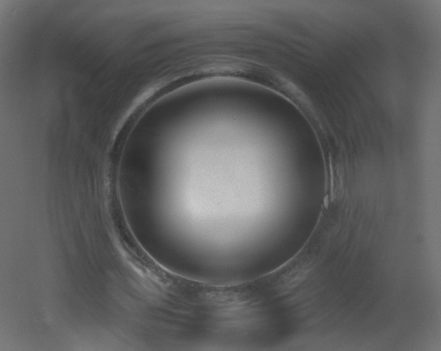 X0000053070435200507111222