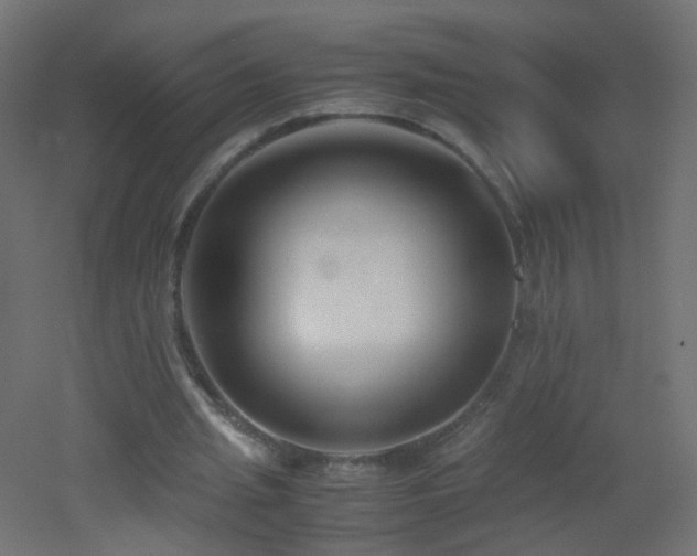 X0000053070437200507111222