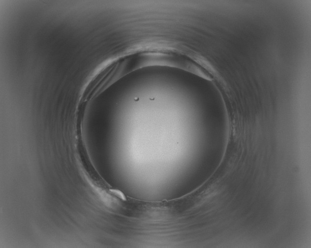 X0000053070438200507111222