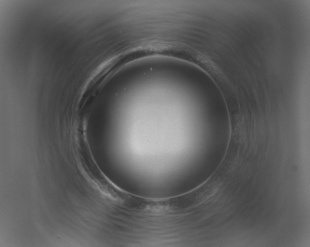 X0000053070440200507111222