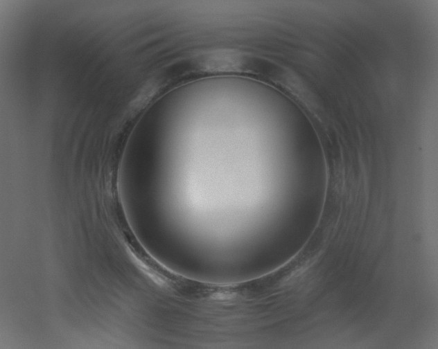 X0000053070441200507111222