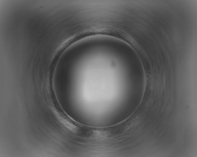X0000053070442200507111222