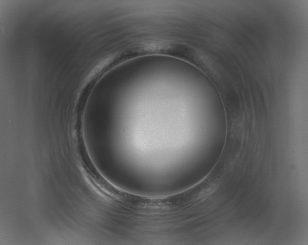 X0000053070443200507111222